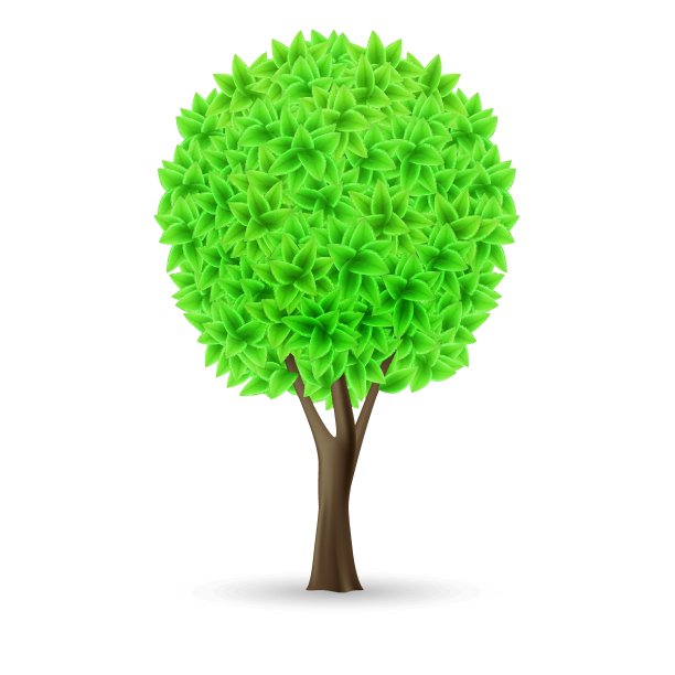 绿色的树图片下载