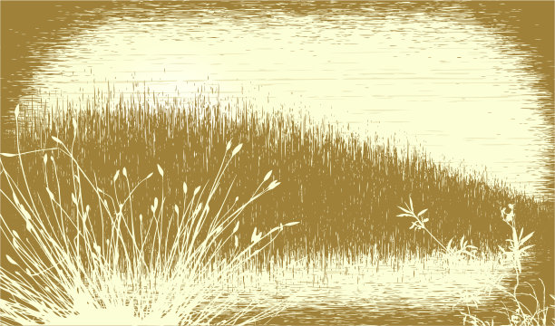 长满草的乏味的东西图片下载