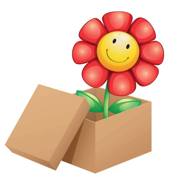 盒子里有一朵花图片下载