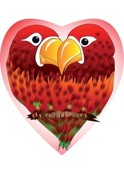 迷恋鹦鹉图片下载