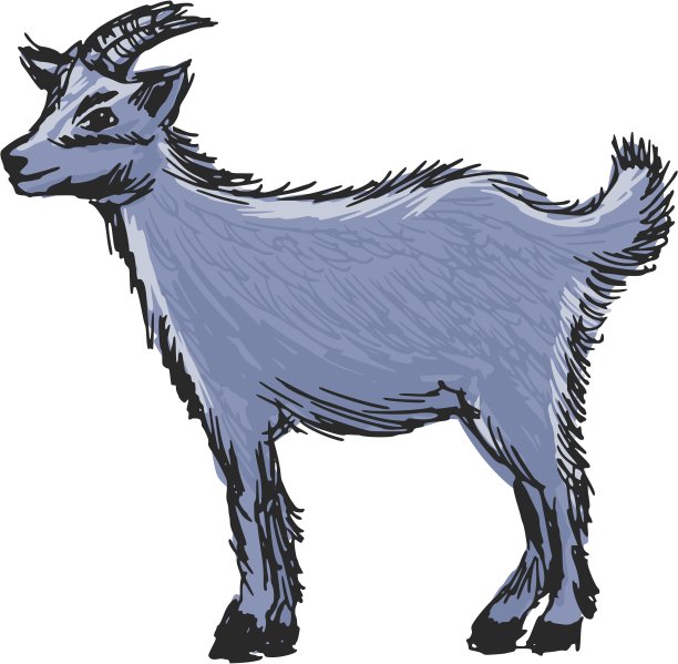 小山羊图片下载
