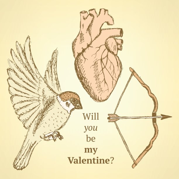 可爱的向量设置与鸟，弓和心图片下载