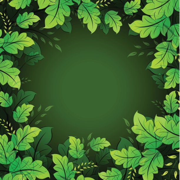 eps10花卉框架图片下载