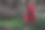 一个迷人的女人戴着小红帽，提着灯笼在黑暗的森林里穿过一条小溪图片下载
