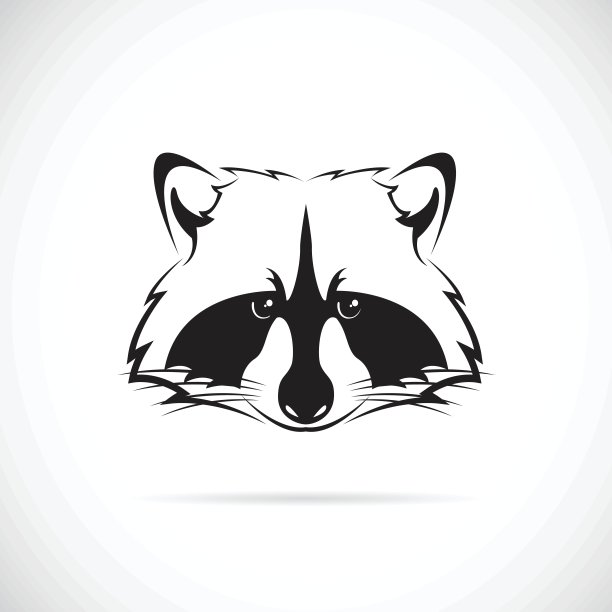 白色背景上的浣熊脸矢量图像图片下载