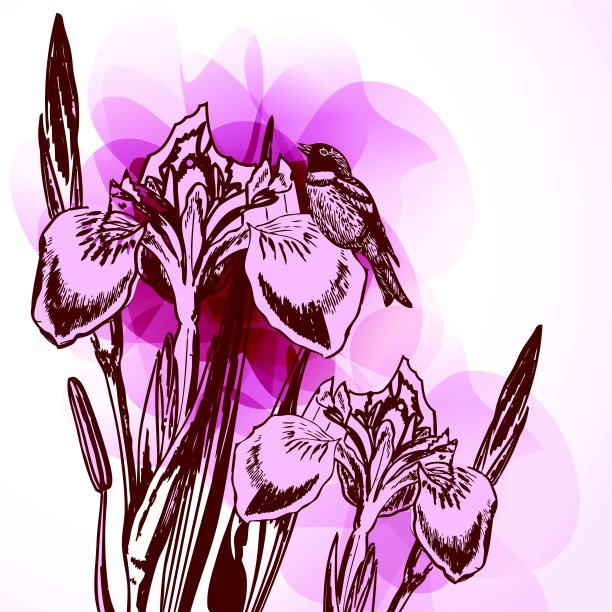 装饰背景与郁金香花图片下载