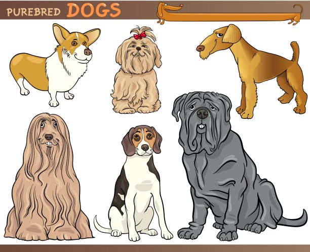 纯种狗卡通插图集图片下载