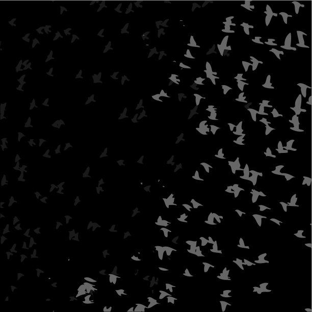 黑色背景鸟类生活矢量艺术图片下载