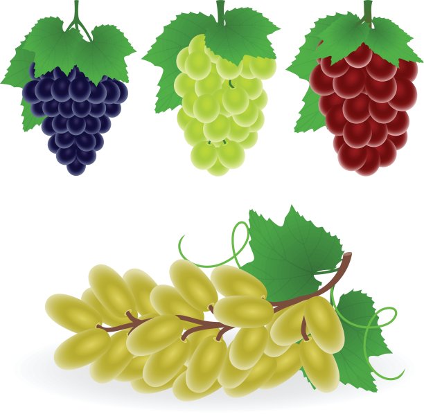 葡萄图片下载