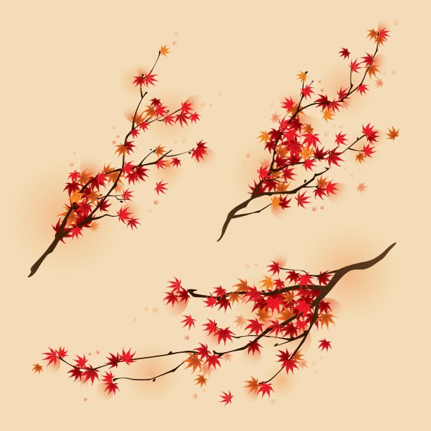 红色的枫树枝在秋天图片下载