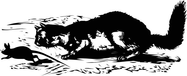 猫捉老鼠图片下载
