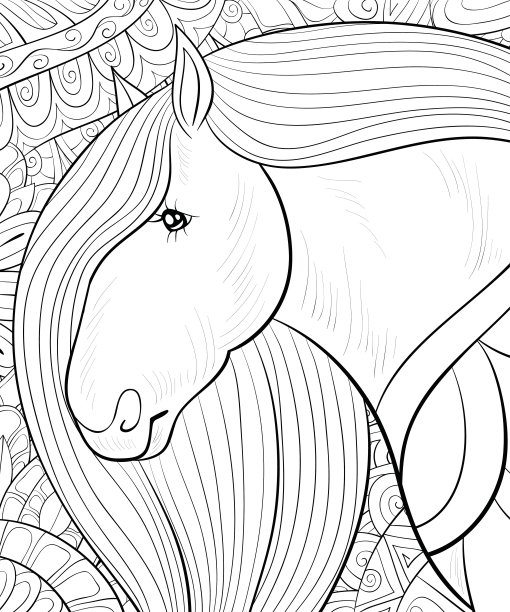 成人涂色书，页面上有可爱的马的背景图片图片下载