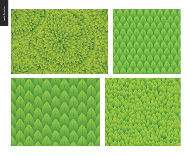 叶面无缝图案套装图片下载