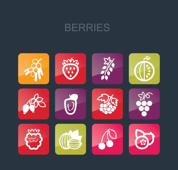 新鲜浆果图标套装图片下载