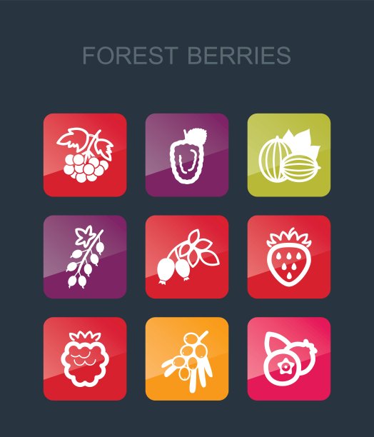 森林浆果图标集图片下载