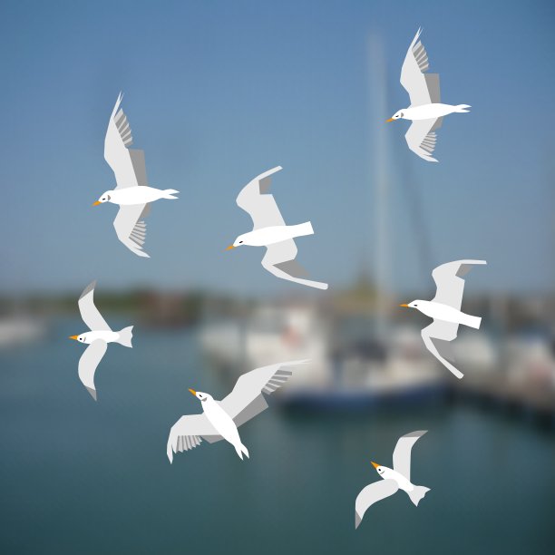一群海鸥在海面上飞翔图片下载