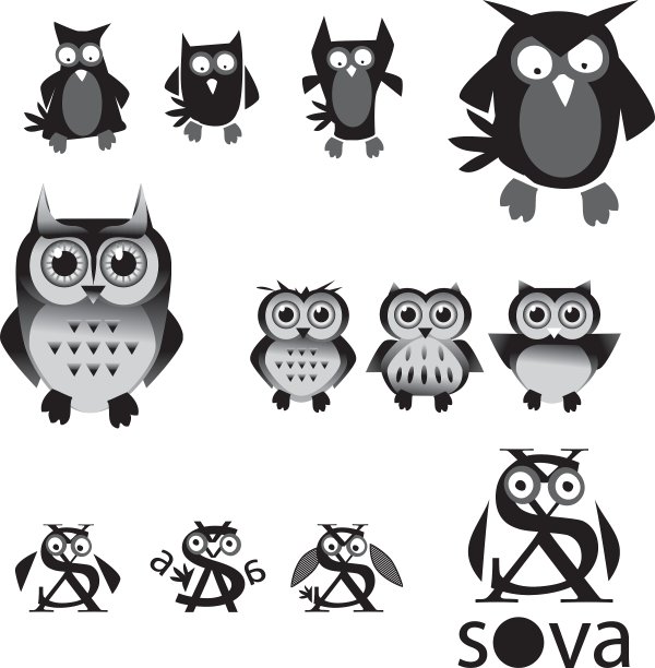 一组猫头鹰在黑色和白色的颜色图片下载