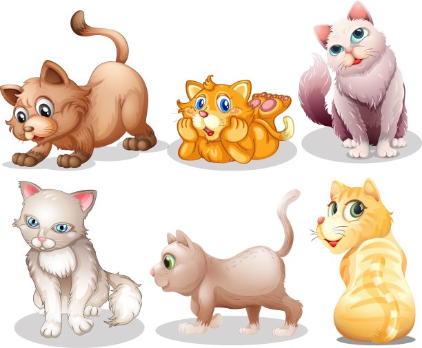 有趣的猫图片下载