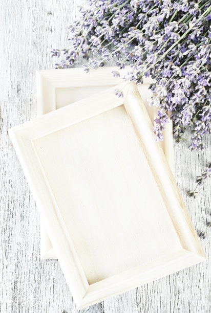 薰衣草图片下载