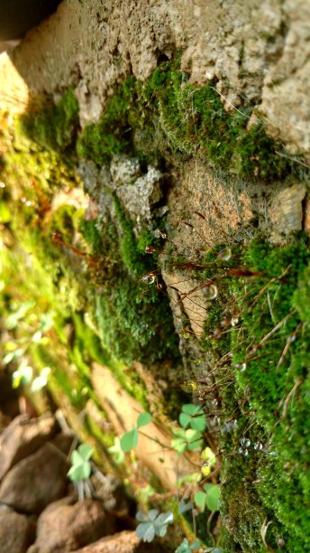 点点滴滴图片下载