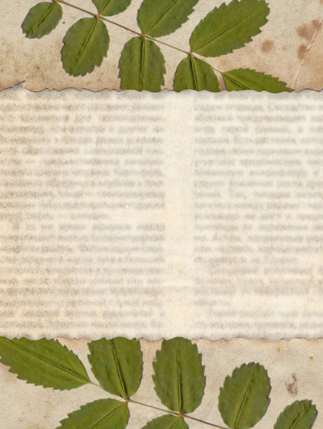 老式纸与干燥的植物在旧报纸的纹理图片下载