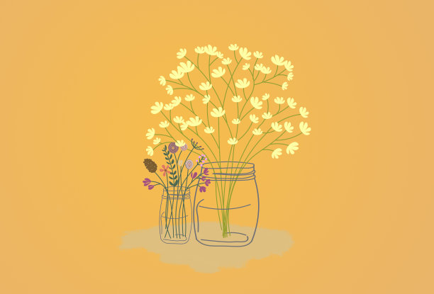 家中盆栽和花卉背景图片下载