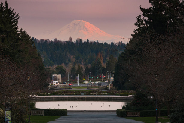 雷尼尔山图片下载
