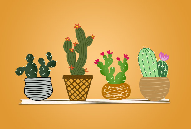 在盆中种植仙人掌，并以花为背景图片下载