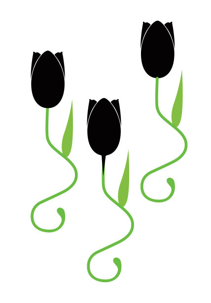 黑色郁金香花蕾在弯曲的茎上，标志，符号。插图图片下载