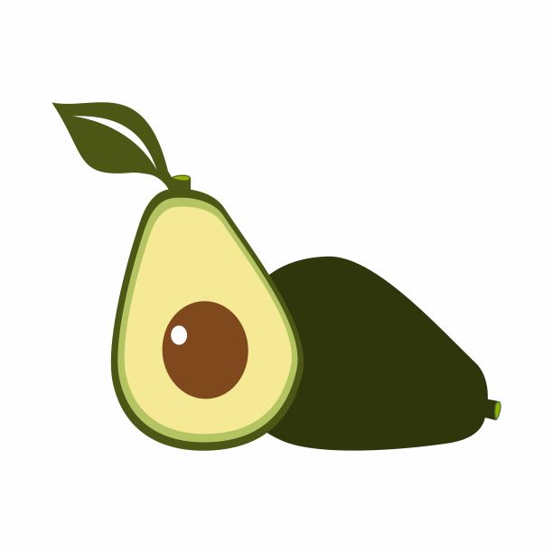 一个半鳄梨向量设计孤立在白色背景图片下载