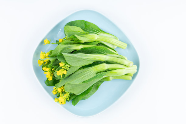 油菜的花图片下载