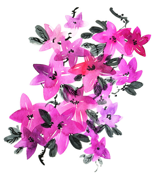 开花树枝图片下载