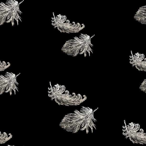 无缝背景的白色羽毛鸟类图片下载