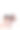 亚洲小男孩和女孩在白色背景下使用笔记本电脑图片下载