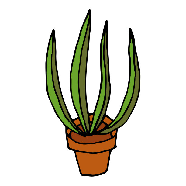 卡通植物在盆栽孤立在白色的背景。涂鸦风格的家居花。矢量插图。图片下载