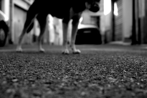 街道表面的低角度视图。意大利撒丁岛。图片下载