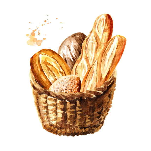 篮子里有新鲜的面包。手绘水彩，插图孤立的白色背景图片下载