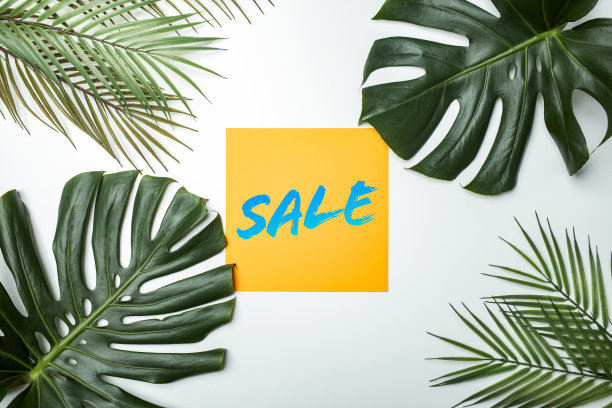 销售文本与热带树叶背景。自然和夏季促销概念库存照片图片下载