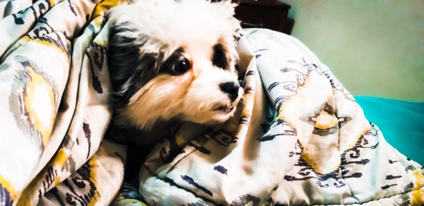 裹着爱图片下载