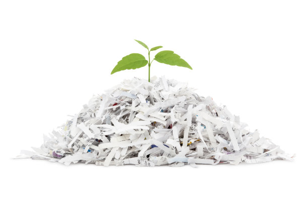 碎纸堆和生长的植物图片下载