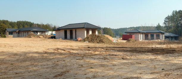 一大片春松林已被清理出来用于建设图片下载