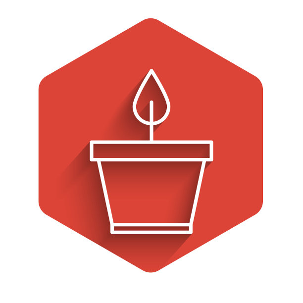 植株在盆中呈白色线状，孤立具长图片下载