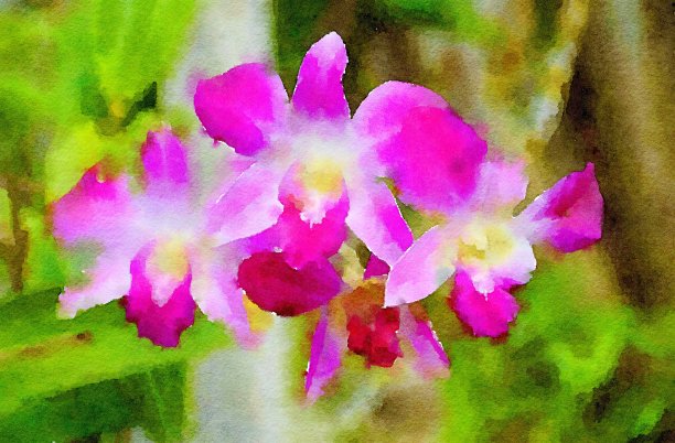 兰花的水彩画图片下载