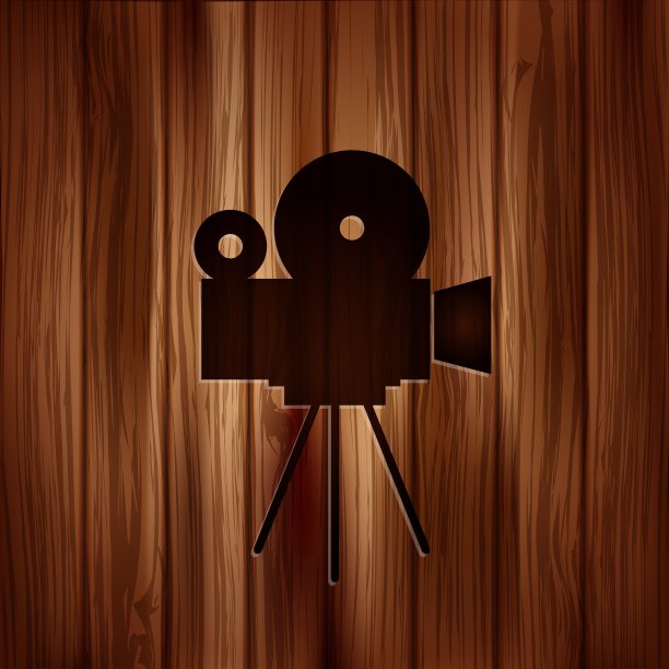 摄像头图标媒体符号木质纹理图片下载