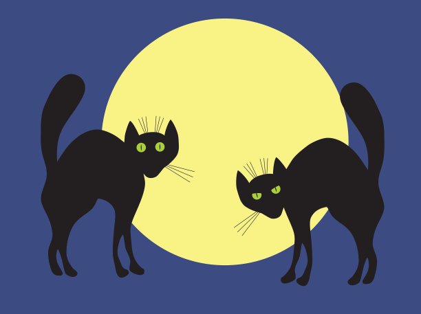 两个黑色的猫图片下载