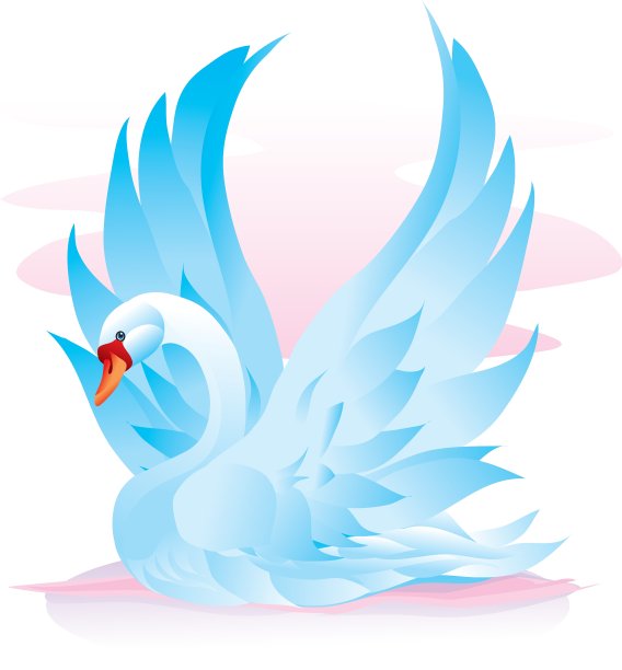 美丽的天鹅图片下载