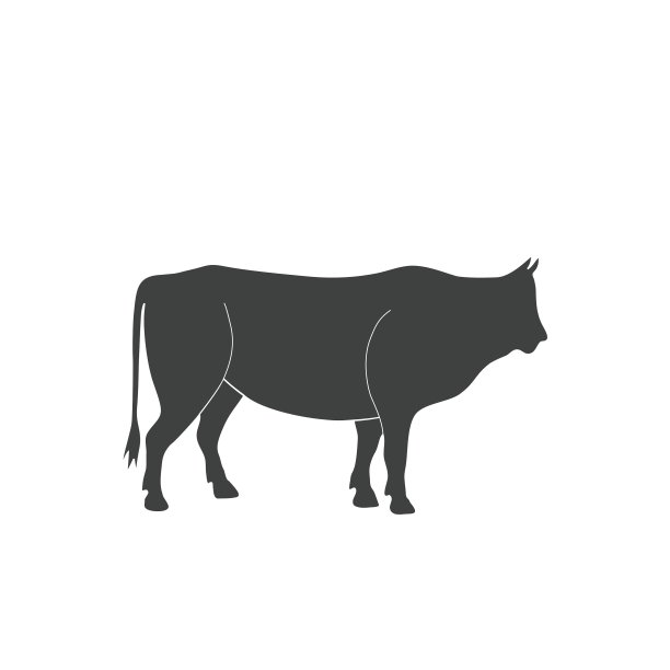 公牛的剪影图片下载