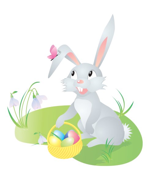 春兔与蝴蝶图片下载