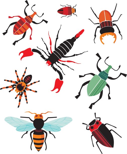 昆虫组图片下载