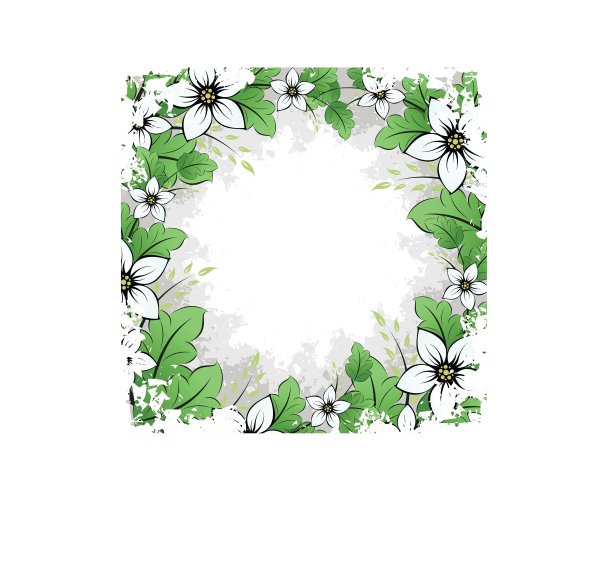 花的框架图片下载